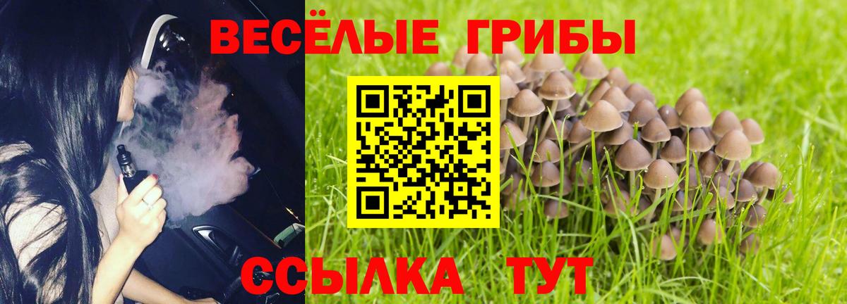 Галлюциногенные грибы Psilocybe Воронеж