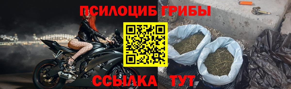 Воронеж  Галлюциногенные грибы ЛСД  Вход с VPN 